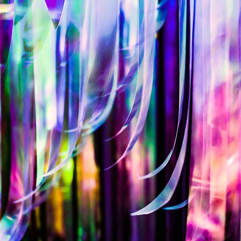 Forest of light